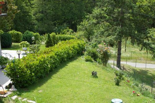 Hostal Affittacamere Graziella
