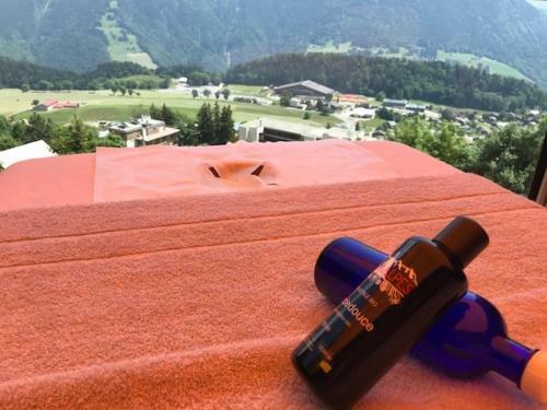 Hotel H�tel Le Grand Chalet