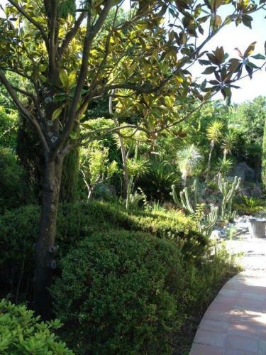 Villa Rainbow Centre De Saint Tropez Proche Des Plages