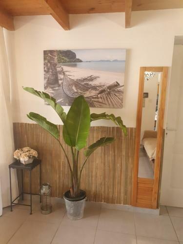 Studio 30 M2 Dans Maison En R�sidence Entree Priv�e