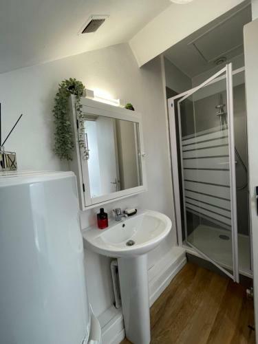 Apartamento Studio Hypercentre - Quartier Gare