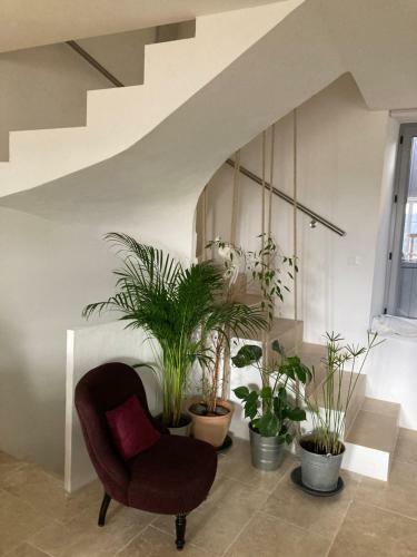 Hostal Maison Deli�re