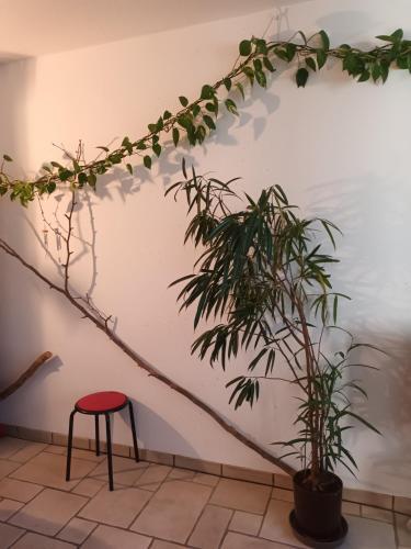 Apartamento T�te D'or Forest
