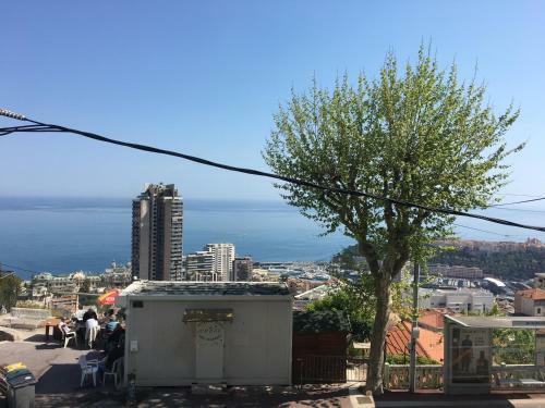 Apartamento Monte Carlo Vista