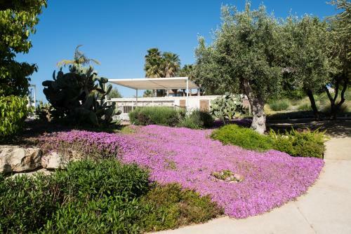 Aparthotel La Scibina