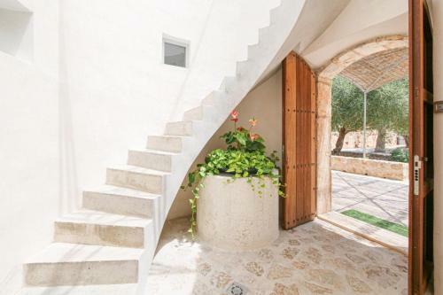 Villa Es Gassons