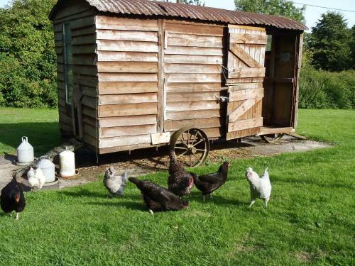 Agroturismo Manor Farm B&B