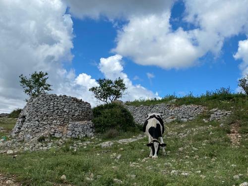 Bed & Breakfast Al Dolmen