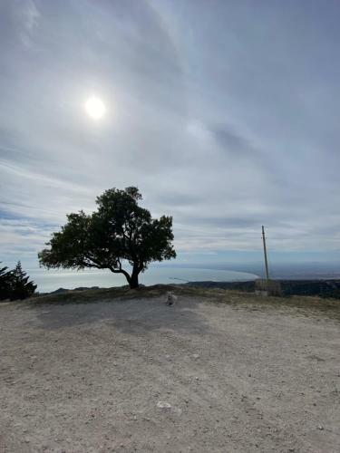 Bed & Breakfast Al Dolmen