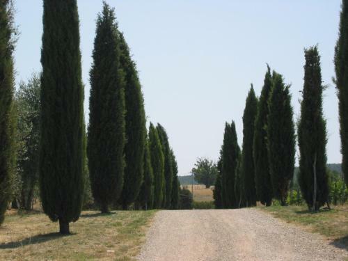 Agroturismo Terre Di Nano