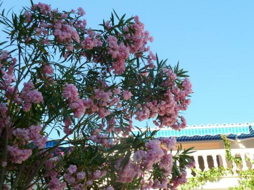 Villa Maxine