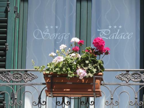 Hostal Sorge Palace