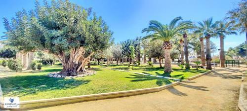 Apartamento Mar Y Sol