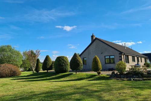 Dail Daraich