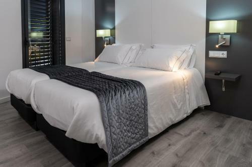 Apartaments Y Habitacions Entre Volcans