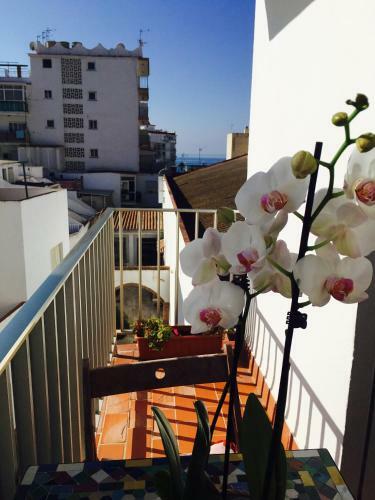 Axarquia Apartments