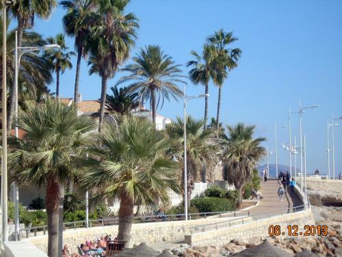 Apartamentos Starnerja En Stella Maris