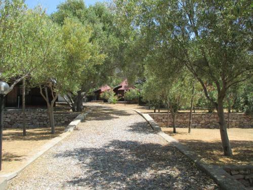 Camping Amanti Del Mare