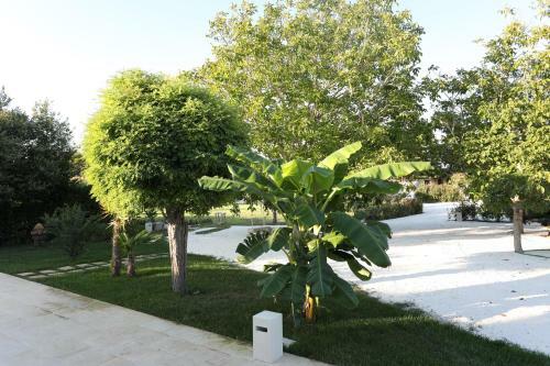 Agroturismo Podere 43