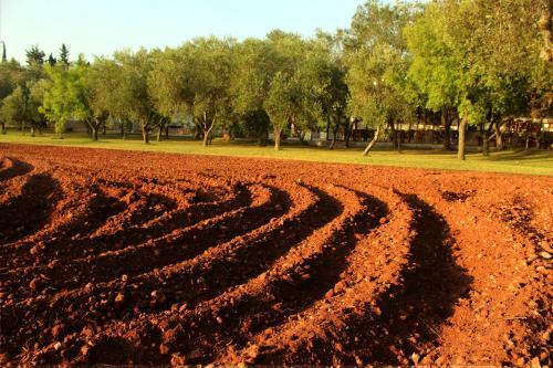 Agroturismo Agriturismo Terra Rossa