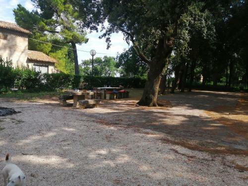 Hostal Double Twin Room Private Bathroom For Swimming Pool Use
