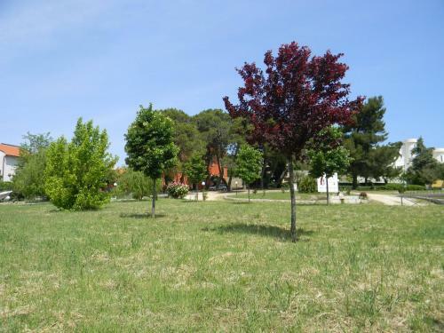 Dimora Del Falconiere B&B