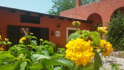 Dimora Del Falconiere B&B