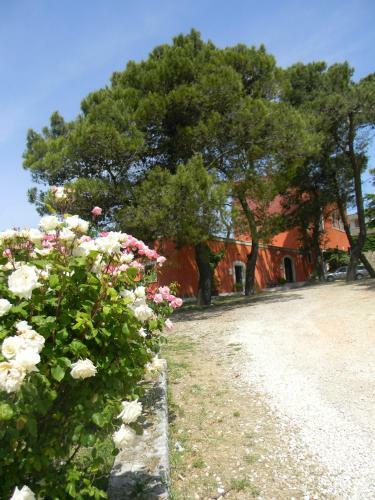Dimora Del Falconiere B&B