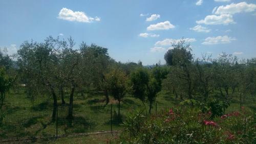 Apartamento Villa Monnalisa