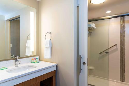 Hotel Hyatt Place Flint/grand Blanc