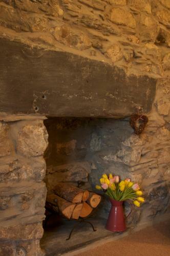 Hostal Dolffanog Fawr