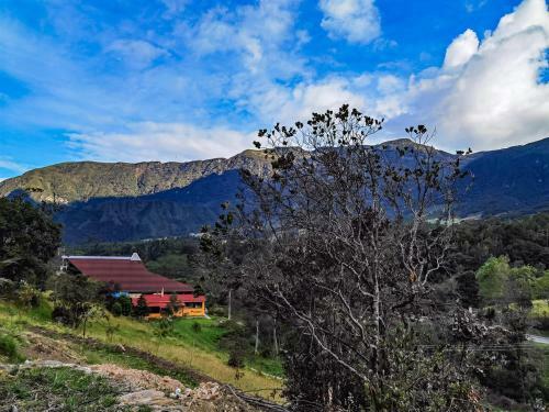 Tybyn Geo Lodge