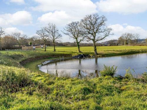The Towy-uk33294