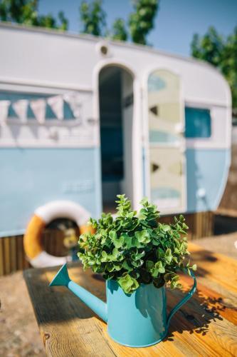 Camping Miramar