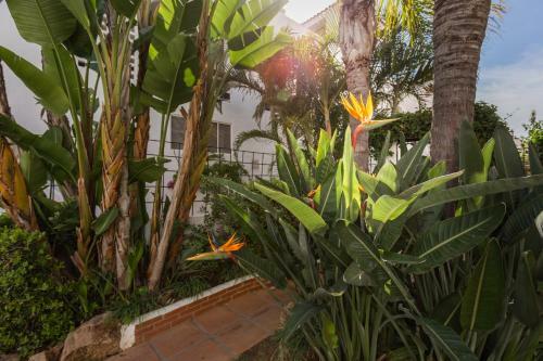 Apartamento Luxury 4 Bedroom Penthuse