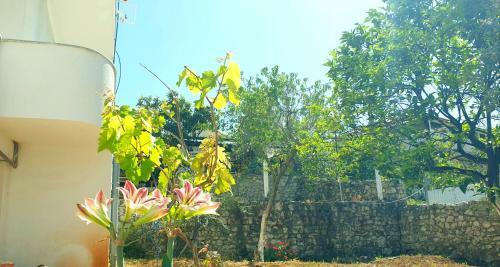 Bed & Breakfast Ishulli I Misseve