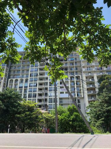 Apartment 605a