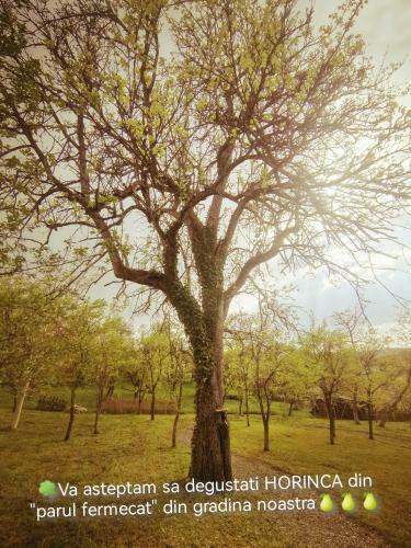 Hostal Hanul Cetatii Wellness&spa