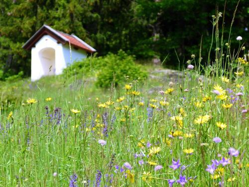 Apartamento Ferienhof Rindler