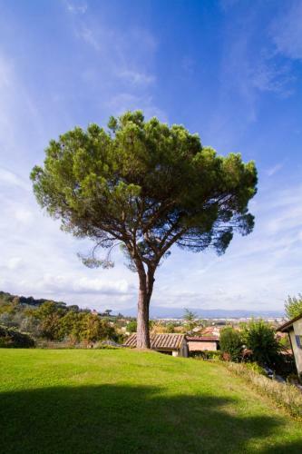 Apartamento Casa Limonaia