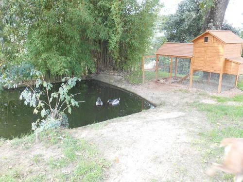 Apartamento Fioralice