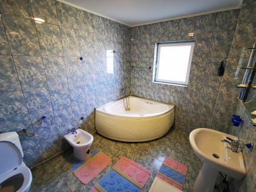 Hostal Apartamente Vila Arcadia