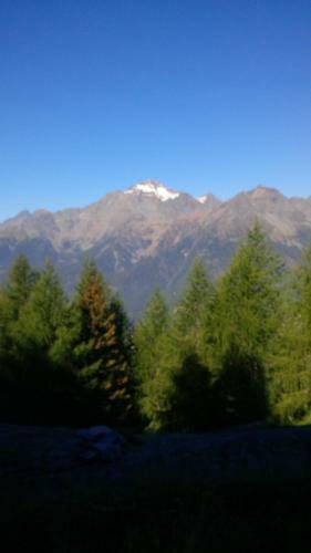 Apartamento Chalet Chiareggio