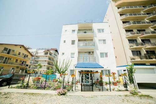 Apartament/studio Nicoleta