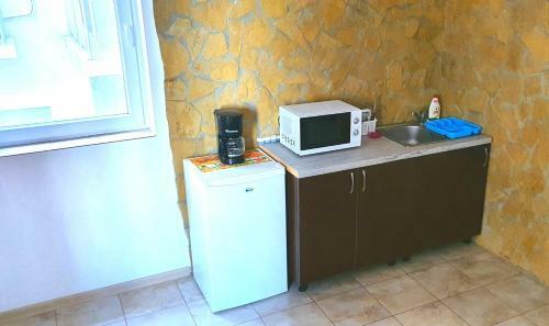 Apartament/studio Nicoleta