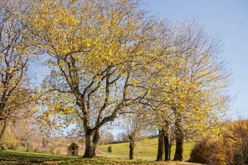Gite Aux Caprices D'aubrac