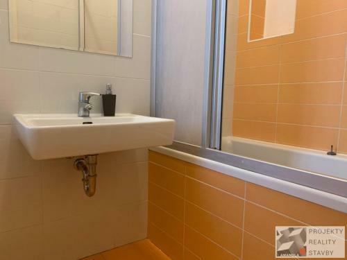 Apartm�n Merhautova