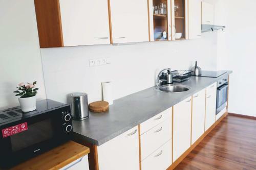 Apartm�n Merhautova