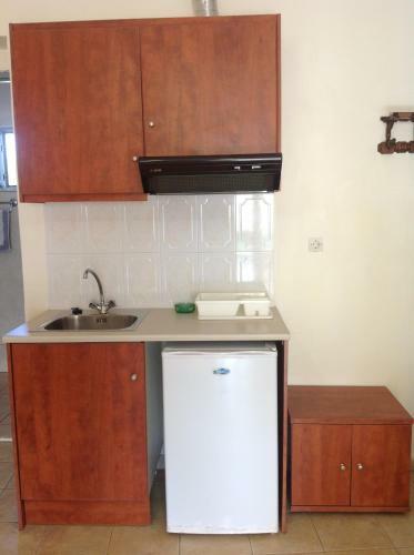 Hotel -xrisi Ammoudia