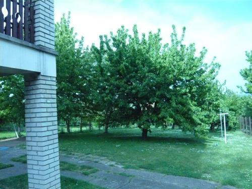 Andrea Apartman Als�p�hok